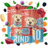 Échantillon pâtée bœuf | Adult 200 g