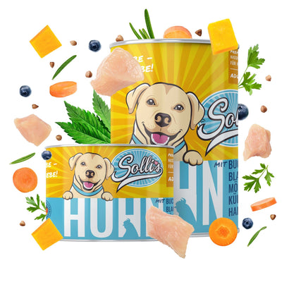 Essayer de la nourriture pour chiens