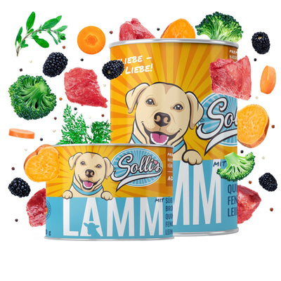Probe Nassfutter Lamm | Adult 200g - Solli's Hundebedarf