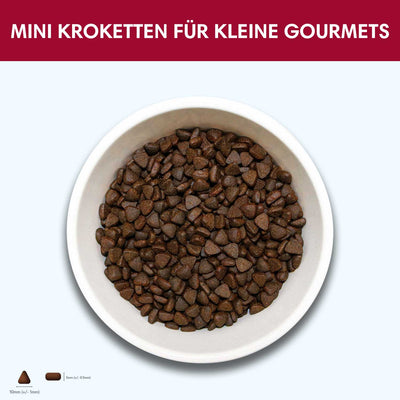 Probe Trockenfutter Angus - Rind - Minis | kleine Rassen 100g - Solli's Hundebedarf