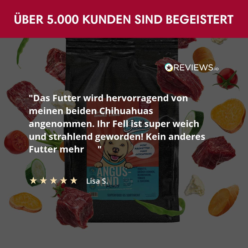 Probe Trockenfutter Angus - Rind - Minis | kleine Rassen 100g - Solli&
