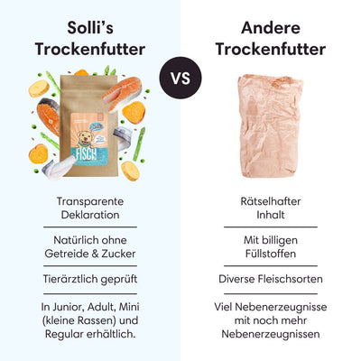 Probe Trockenfutter Fisch | Adult - Regular 100g - Solli's Hundebedarf