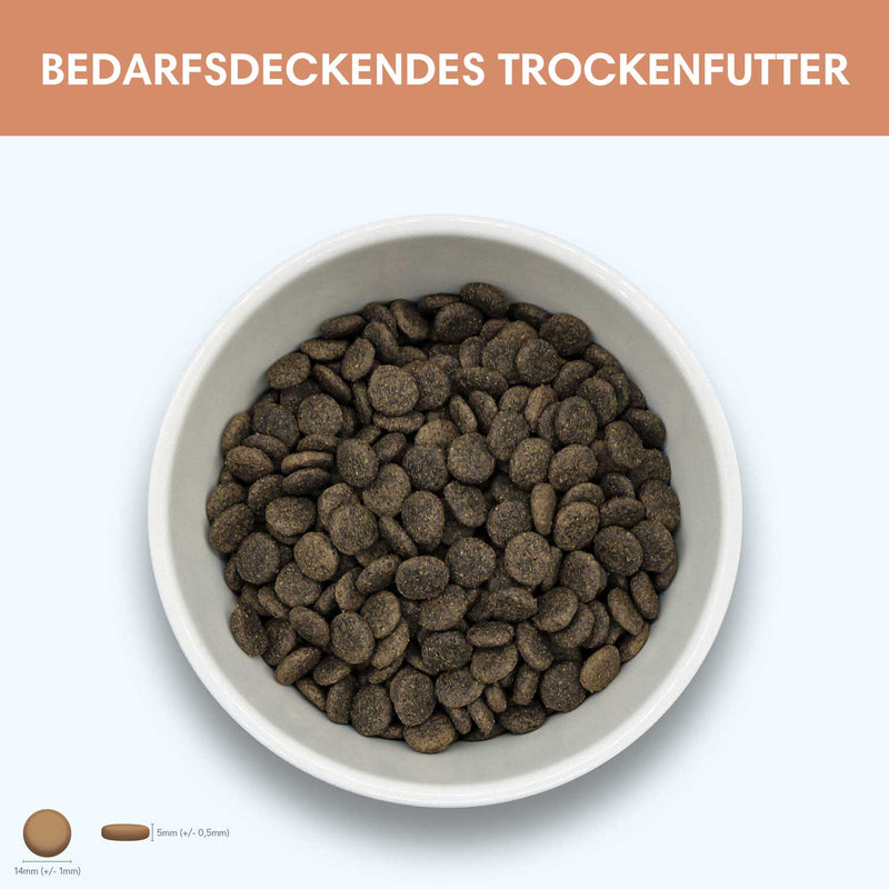 Probe Trockenfutter Fisch | Adult - Regular 100g - Solli&