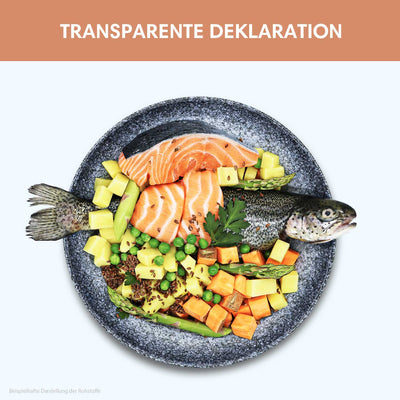 Probe Trockenfutter Fisch | Adult - Regular 100g - Solli's Hundebedarf