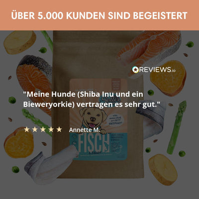 Probe Trockenfutter Fisch | Adult - Regular 100g - Solli's Hundebedarf