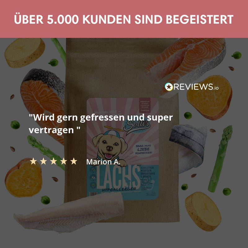 Probe Trockenfutter Lachs | Welpenfutter - Regular 100g - Solli&