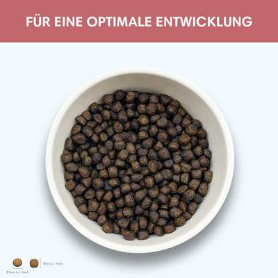 Probe Trockenfutter Lachs | Welpenfutter - Regular 100g - Solli's Hundebedarf