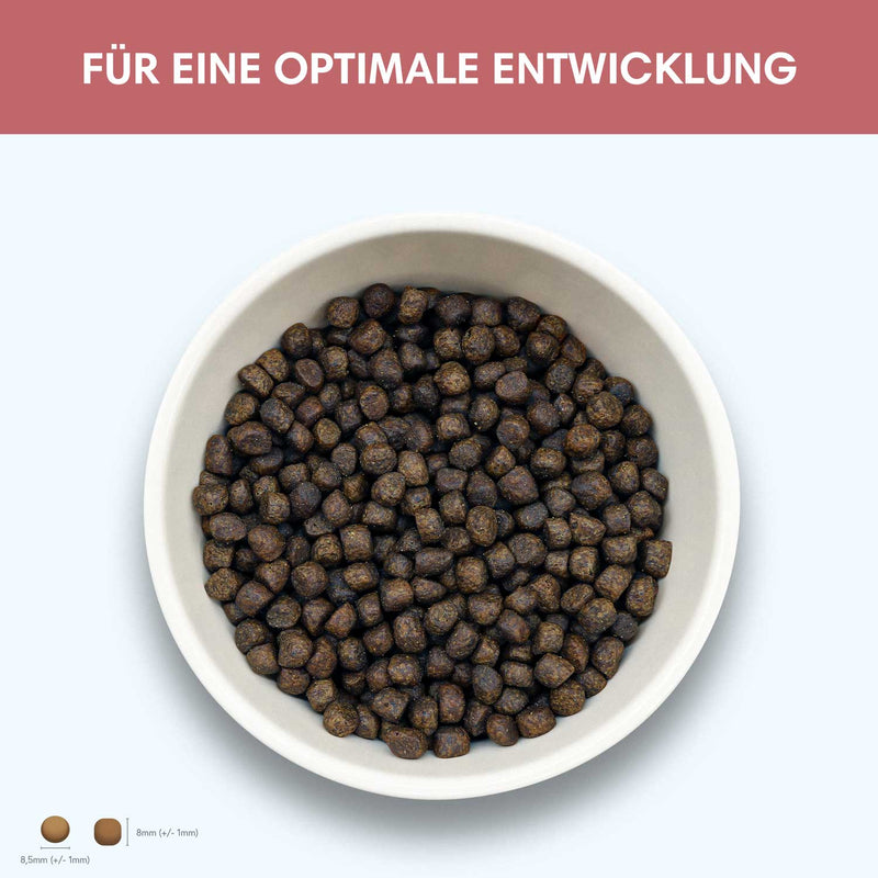 Probe Trockenfutter Lachs | Welpenfutter - Regular 100g - Solli&
