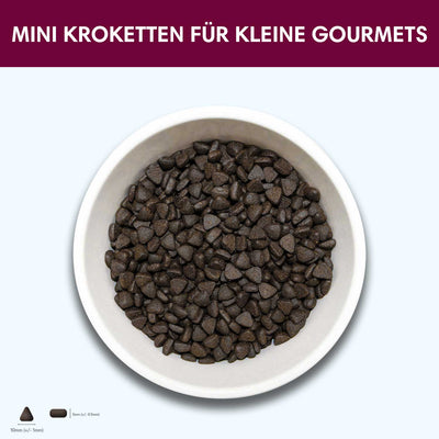 Probe Trockenfutter Schottischer Lachs - Minis | kleine Rassen 100g - Solli's Hundebedarf