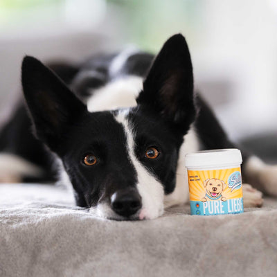 Pure Liebe - Natürlicher Schutzbalm für Pfoten, Nase & Haut - Solli's Hundebedarf