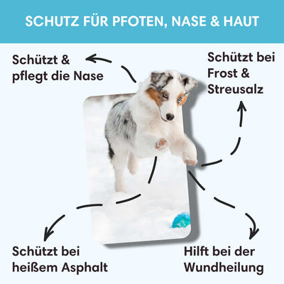 Pure Liebe - Natürlicher Schutzbalm für Pfoten, Nase & Haut - Solli's Hundebedarf