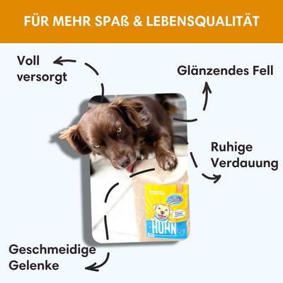 Trockenfutter Huhn | Adult - Regular - Solli's Hundebedarf