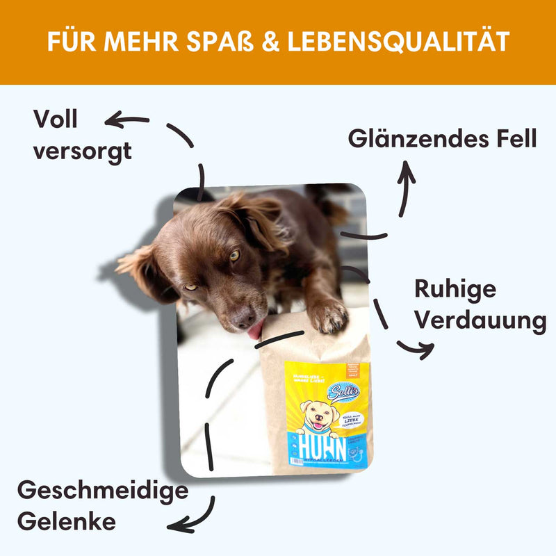 Trockenfutter Huhn | Adult - Regular - Solli&