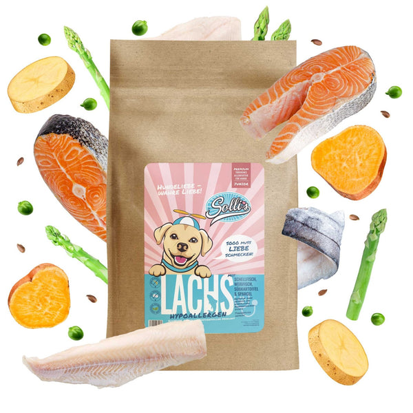 Muestra de pienso seco para perros Salmón | Para cachorros - Regular 100 g