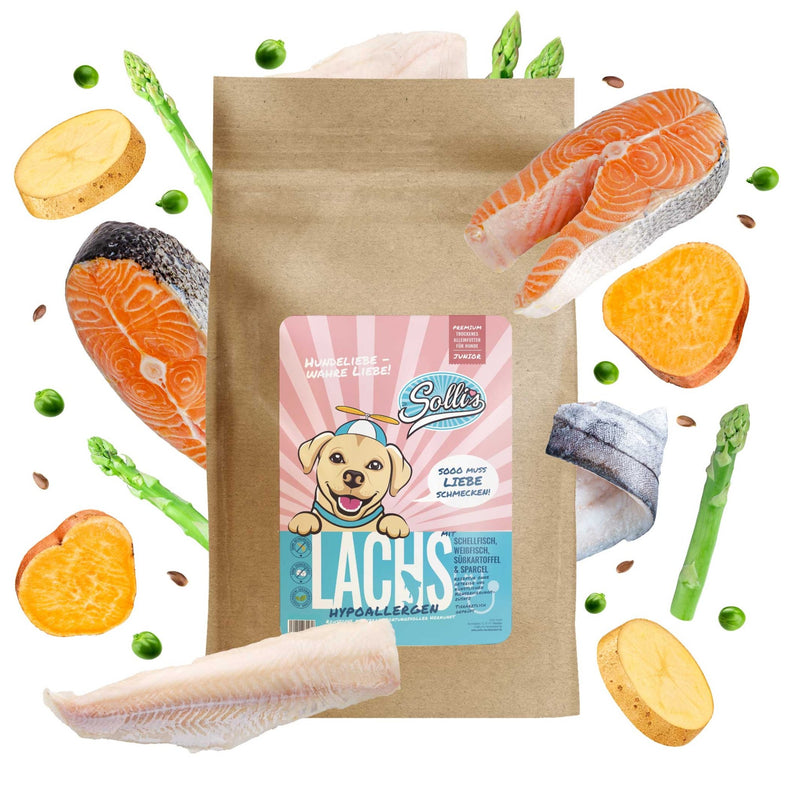 Trockenfutter Lachs | Welpenfutter - Regular - Solli&