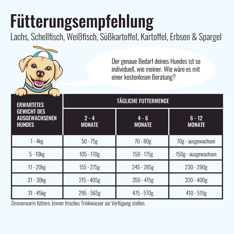 Trockenfutter Lachs | Welpenfutter - Regular - Solli&