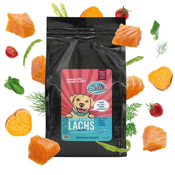 Muestra de pienso seco para perros Salmón-Minis | Adultos - Razas pequeñas 100 g