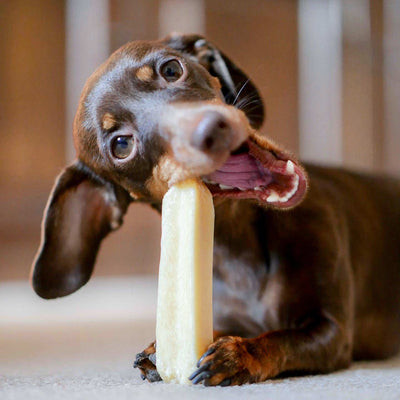 Käse - Kaustangen | Traditionell händisch gefertigt - Solli's Hundebedarf