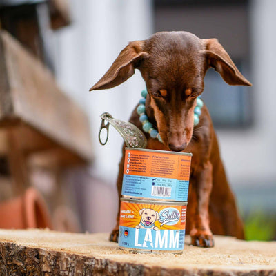 Nassfutter Lamm | Adult - Solli's Hundebedarf