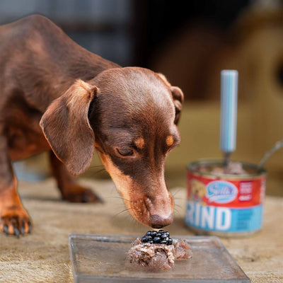 Nassfutter Rind | Adult - Solli's Hundebedarf